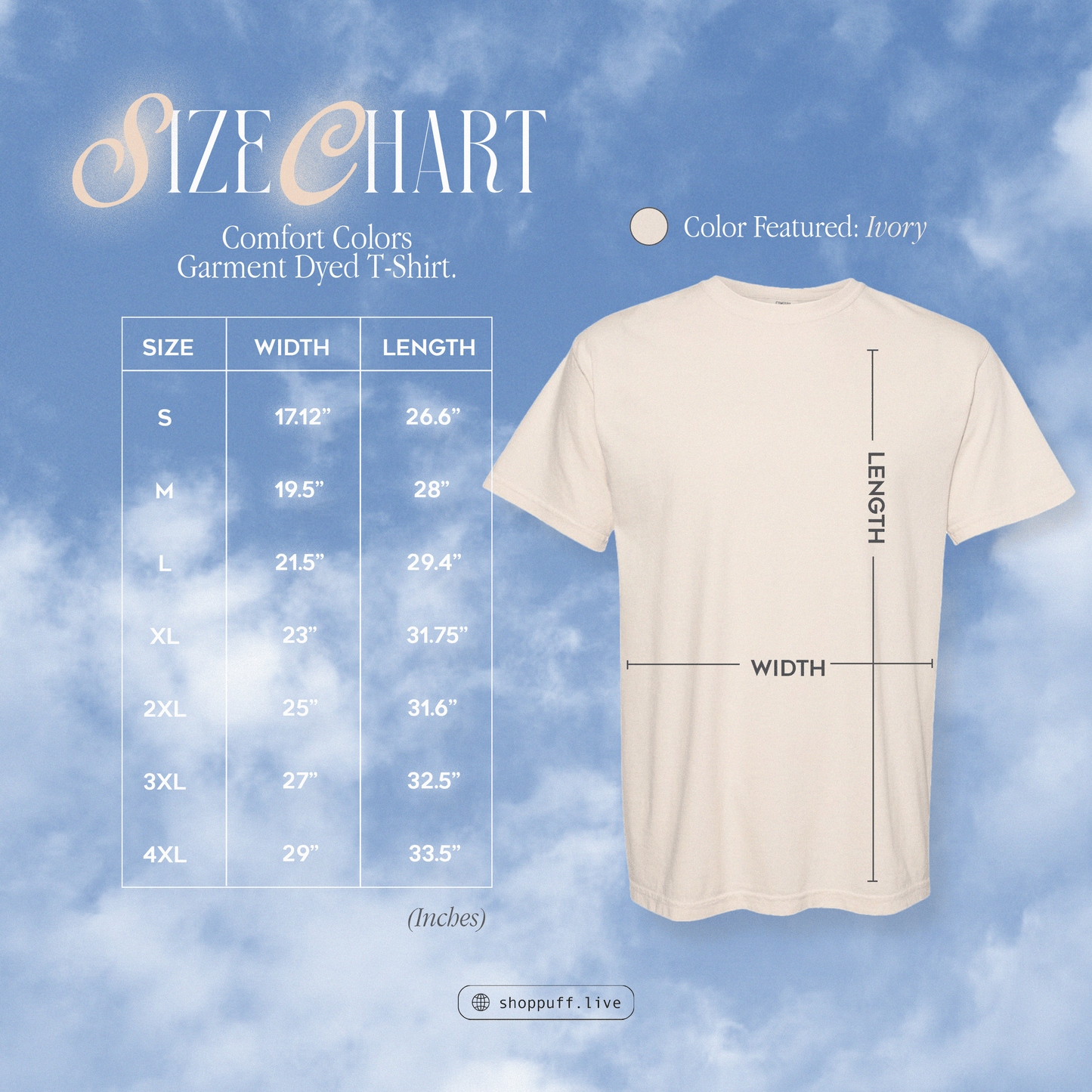 MIDZY 'Cake' Graphic Tee ✧ 4 Colors
